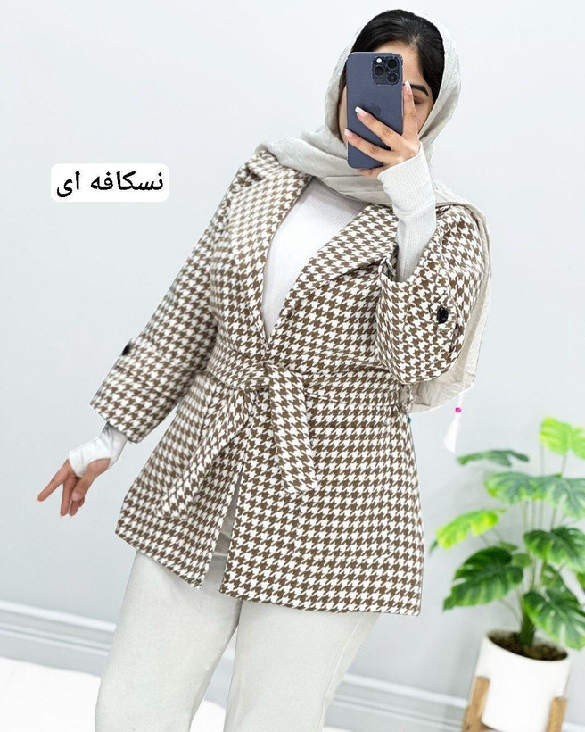 پالتو پیدازی صدف